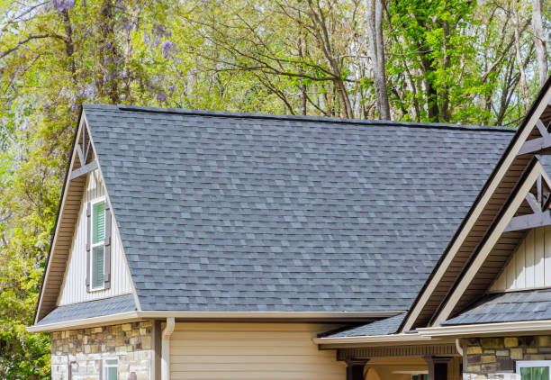 Best Rubber Roofing (EPDM, TPO)  in Spring Valley, MN