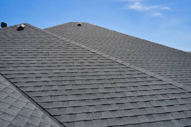 Best Roof Moss and Algae Removal  in Spring Valley, MN
