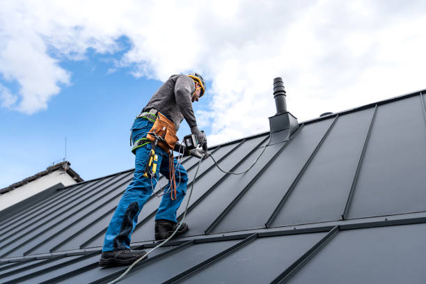 Best Wood Shake Roofing  in Spring Valley, MN